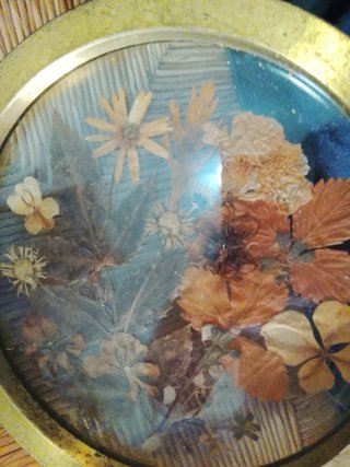 Composizione di fiori secchi