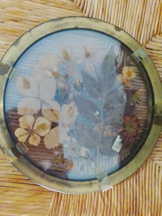 Composizione di fiori secchi