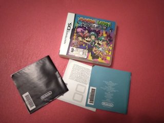 Gioco Mario & Luigi Partners in Time Nintendo DS