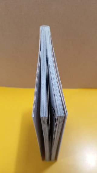 Un millón de lágrimas, 2