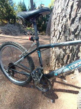 Bicicleta MTB Topbike 26