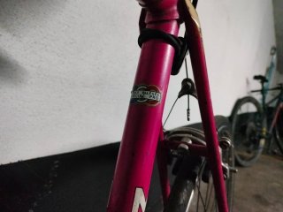 Bicicleta Urbana Clásica Mercier Rosa