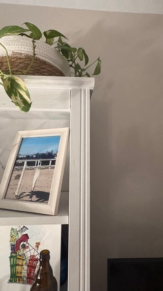 Vitrina Ikea Blanca y Madera