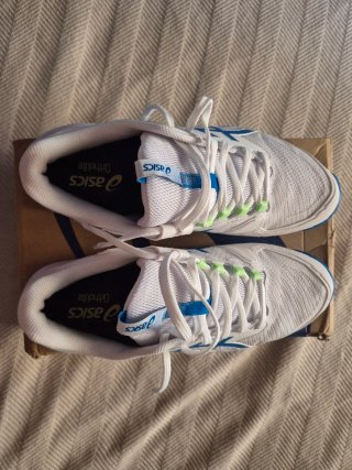 Zapatillas Asics Solution Speed FF4