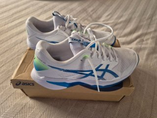 Zapatillas Asics Solution Speed FF4
