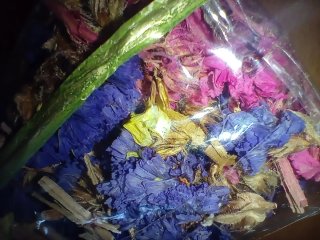 Bolsa Flores Secas Naturales Varias