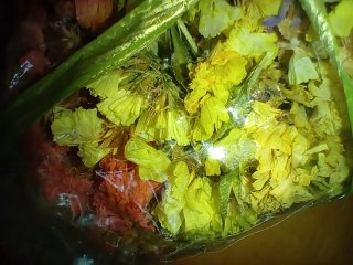 Bolsa Flores Secas Naturales Varias