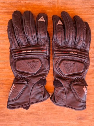 Pantalón Cuero Alpinestars + Guantes Dainese