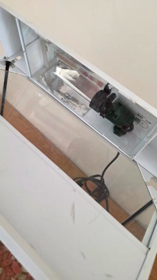 Acuario Pecera con Filtro y Decoración