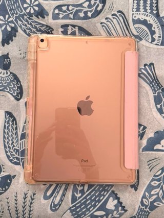 iPad Air (3ª generación + funda)