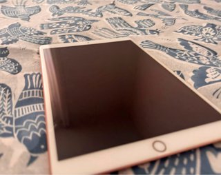 iPad Air (3ª generación + funda)