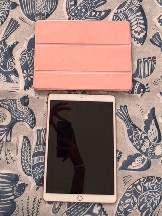 iPad Air (3ª generación + funda)