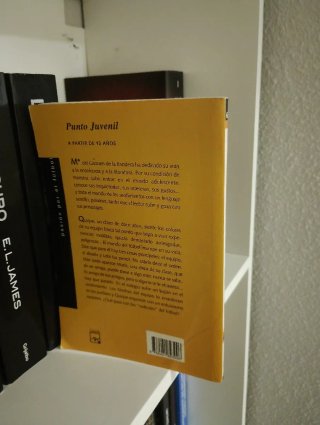 Libro sentir los colores