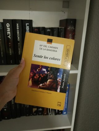Libro sentir los colores