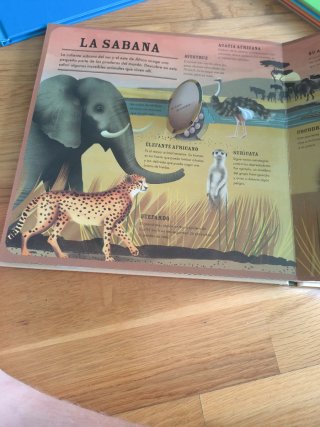 Fauna un atlas interactivo de los animales
