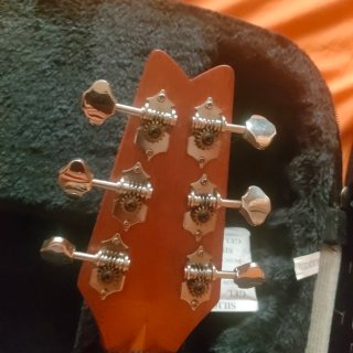 Washburn Rover Guitarra de Viaje
