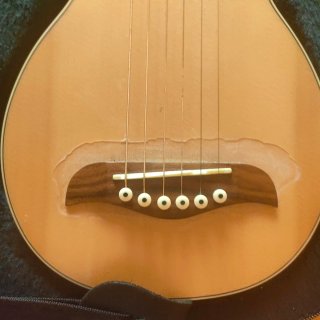 Washburn Rover Guitarra de Viaje