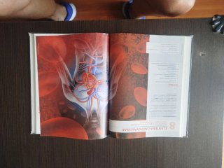 Anatomía aplicada