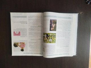 Anatomía aplicada