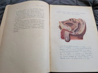 Libro Antiguo: Medios para evitar el embarazo