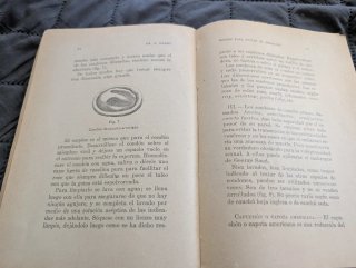 Libro Antiguo: Medios para evitar el embarazo