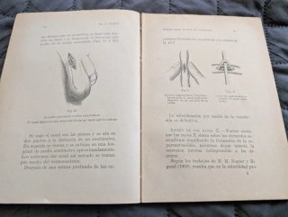 Libro Antiguo: Medios para evitar el embarazo