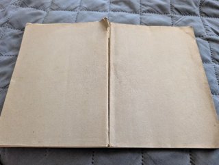 Libro Antiguo: Medios para evitar el embarazo