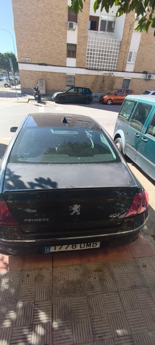 Peugeot 407 2005