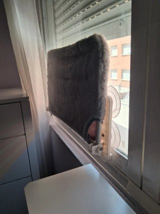 Hamaca para gatos con ventosas