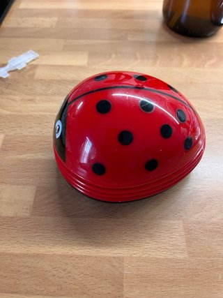 Aspiradora Migas Mariquita Roja