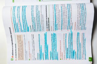 Bioloxía e xeoloxía, Bacharelato 1