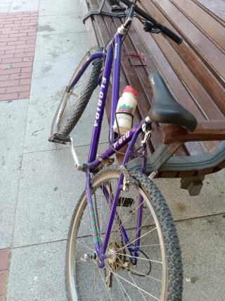 Bicicleta Montaña Morada Florida
