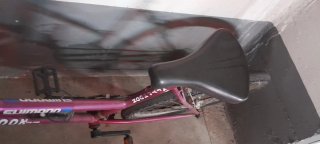 Bicicleta Morada Typhoon