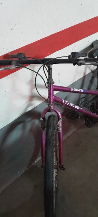 Bicicleta Morada Typhoon