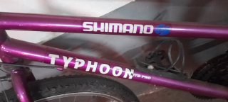 Bicicleta Morada Typhoon