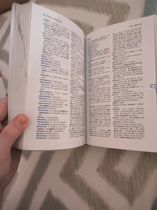 Richmond pocket dictionary español-inglés