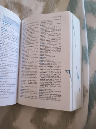 Richmond pocket dictionary español-inglés