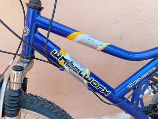 Bicicleta Montaña Wheelworx 26