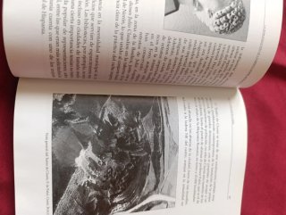 La romanización de la meseta norte Burgos, Clunia