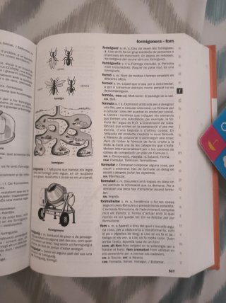 Nou diccionari d'ús del valencià