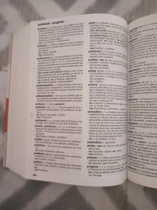 Nou diccionari d'ús del valencià