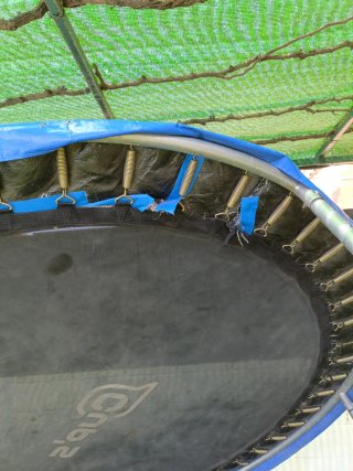 Cama elástica, colchoneta elástica