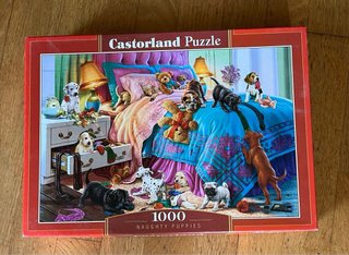 Lote 4 Puzzles 1000 Piezas Completos