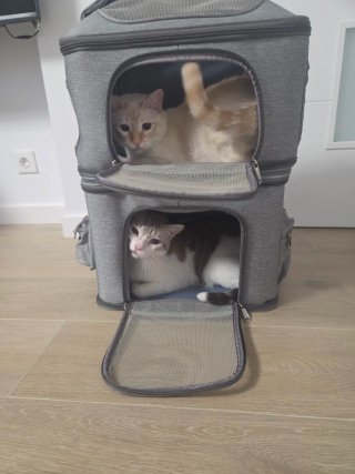 Mochila Transportín Doble Gris