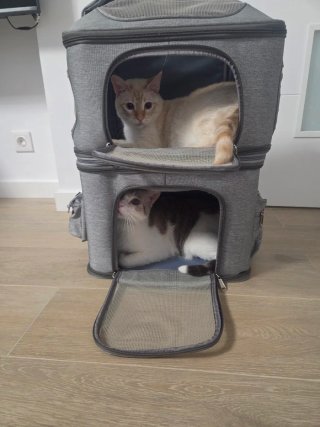 Mochila Transportín Doble Gris