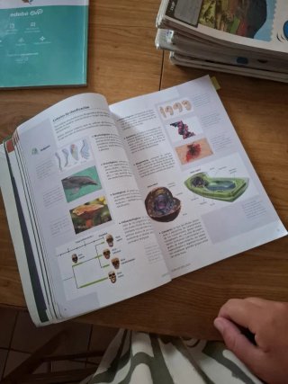 Biología y Geología 1 ESO