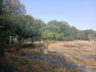 Finca rústica en Cardeñadijo