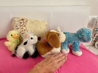 Lote de 4 peluches infantiles y cojín bebe
