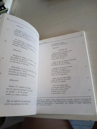Rimas y Leyendas (Biblioteca Didactica Anaya) (...