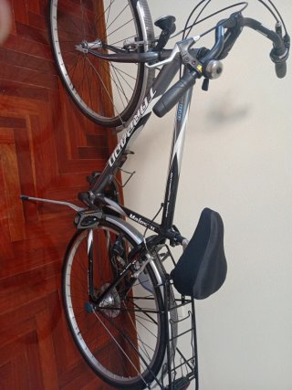 Bicicleta de paseo XL